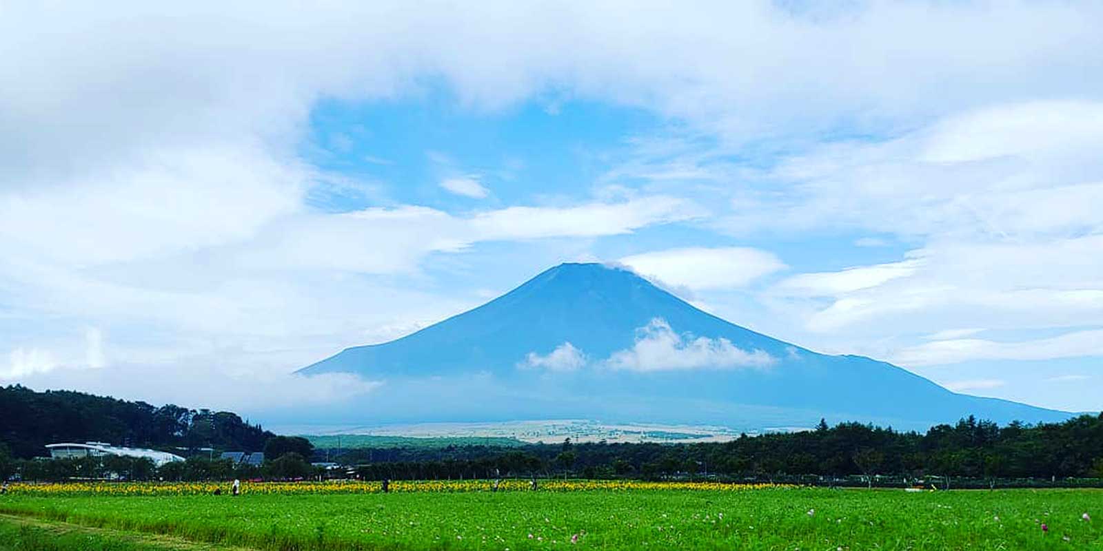 富士山もど迫力!