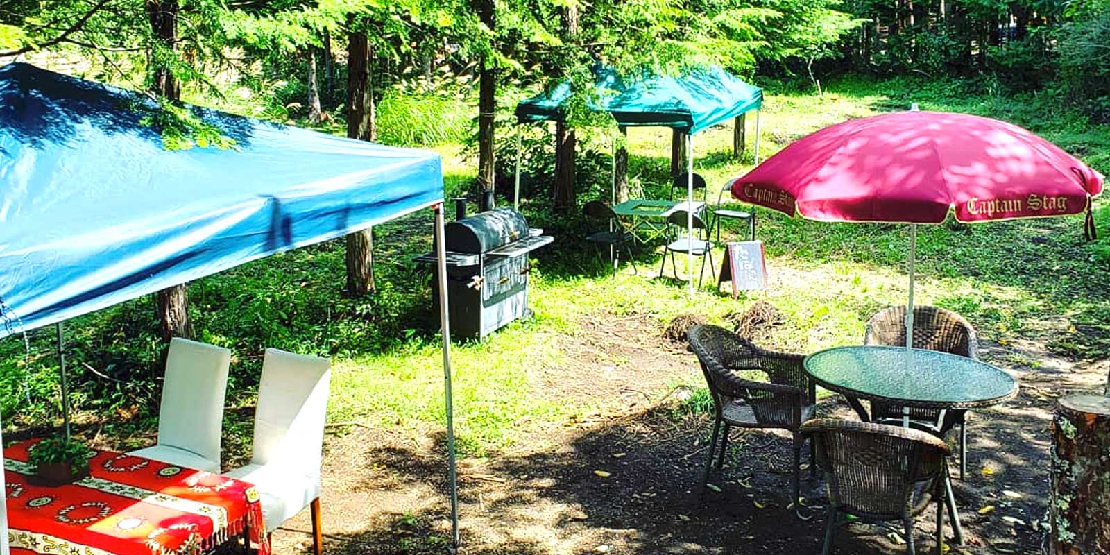 緑の中でくつろげるワイルドパーク