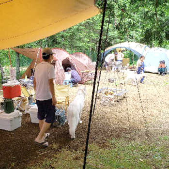 WILDPARK CAMP